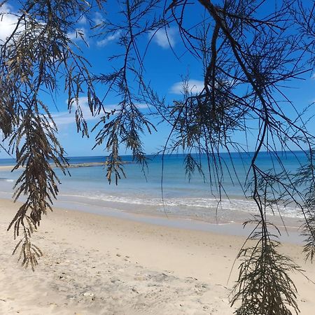 شقة Tra Vento E Mare Lendinuso المظهر الخارجي الصورة